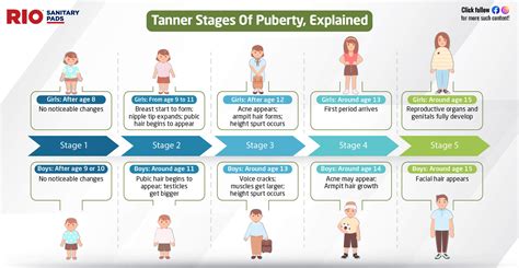 nude teen hairy|Stages of Puberty Explained in Pictures